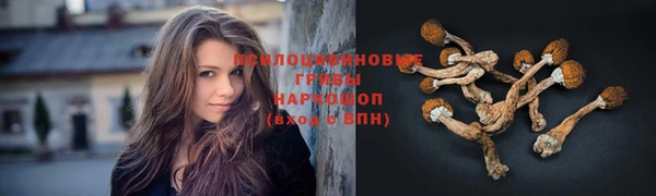 ALPHA PVP Новокубанск