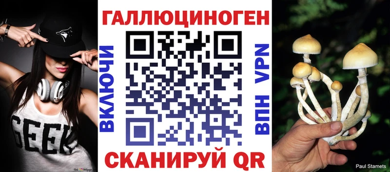 Галлюциногенные грибы прущие грибы  Купить где  Благовещенск 